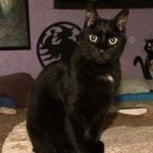 Meet your Posher, Erica